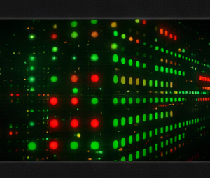 Biển Quảng Cáo & LED Ma Trận